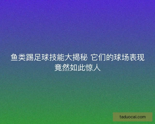 鱼类踢足球技能大揭秘 它们的球场表现竟然如此惊人