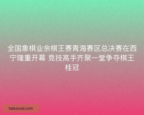 全国象棋业余棋王赛青海赛区总决赛在西宁隆重开幕 竞技高手齐聚一堂争夺棋王桂冠